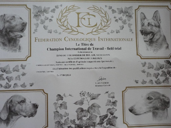 du colombier de bel air - CHAMPION INTERNATIONAL DE TRAVAIL FIELD TRIAL