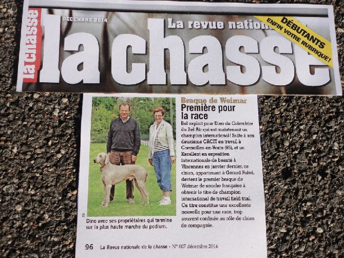 du colombier de bel air - PREMIERE POUR LA RACE